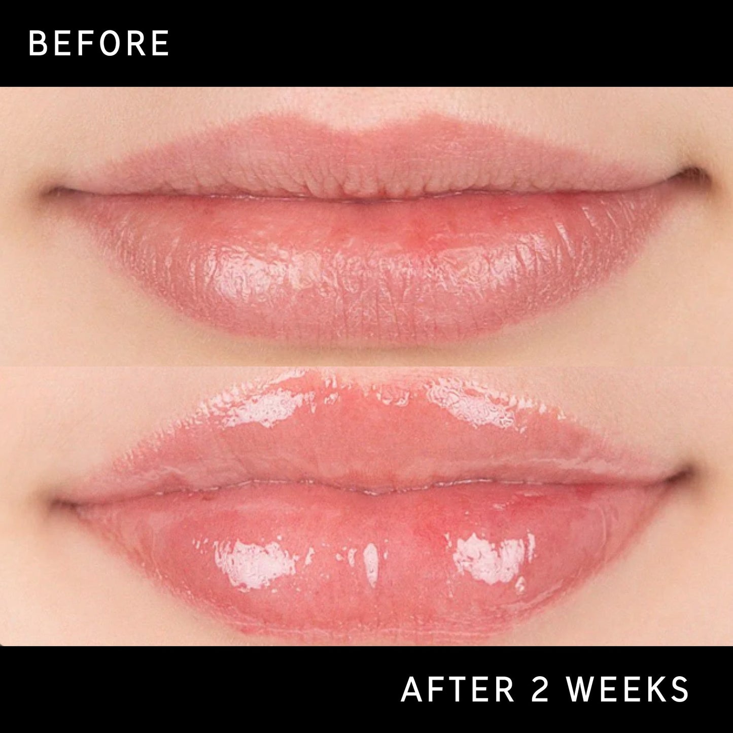 lip-plumping-duo-j8 DTC-Top15_Amends_Tripeptide-Lip_B_A.jpg