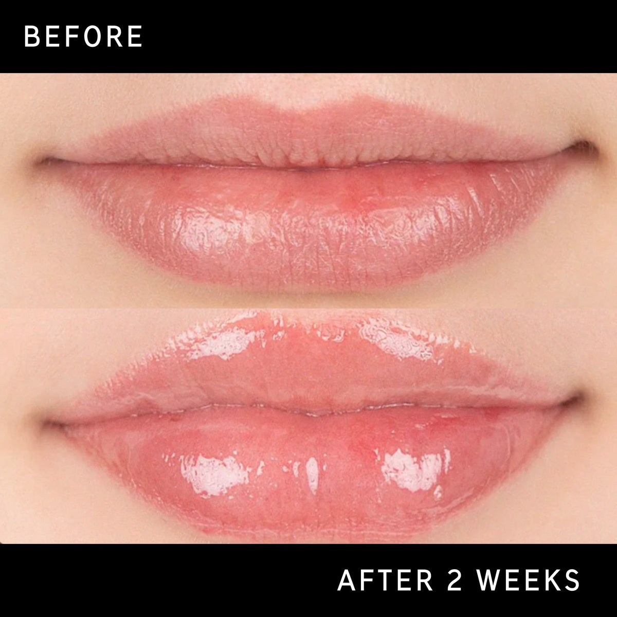 tripeptide-plumping-lip-balm-o9 DTC-Top15_Amends_Tripeptide-Lip_B_A.jpg